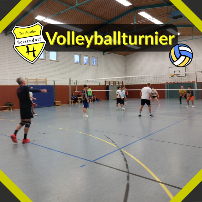 Internes Volleyballturnier 2026