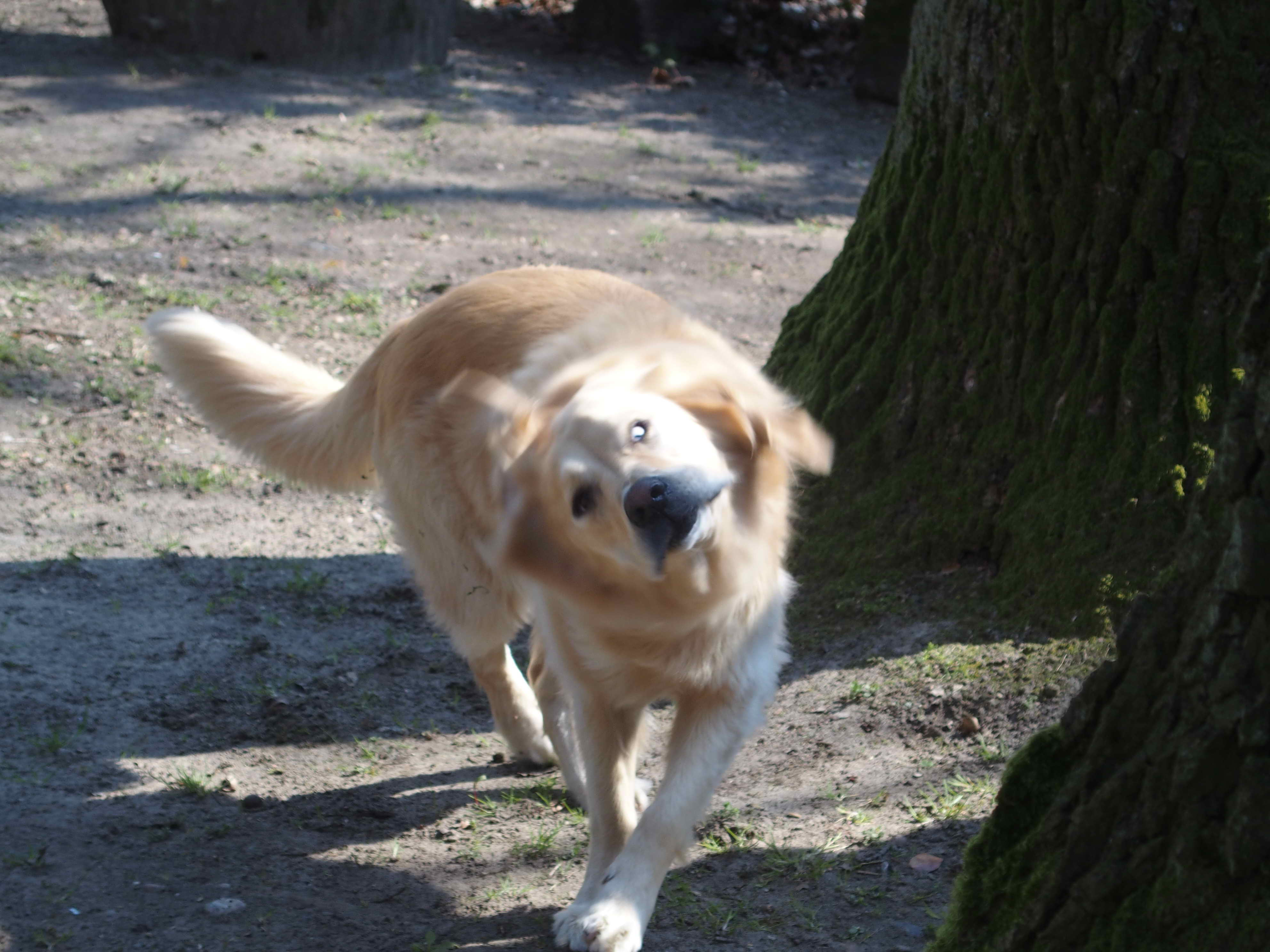 1.Mai Frühschoppen